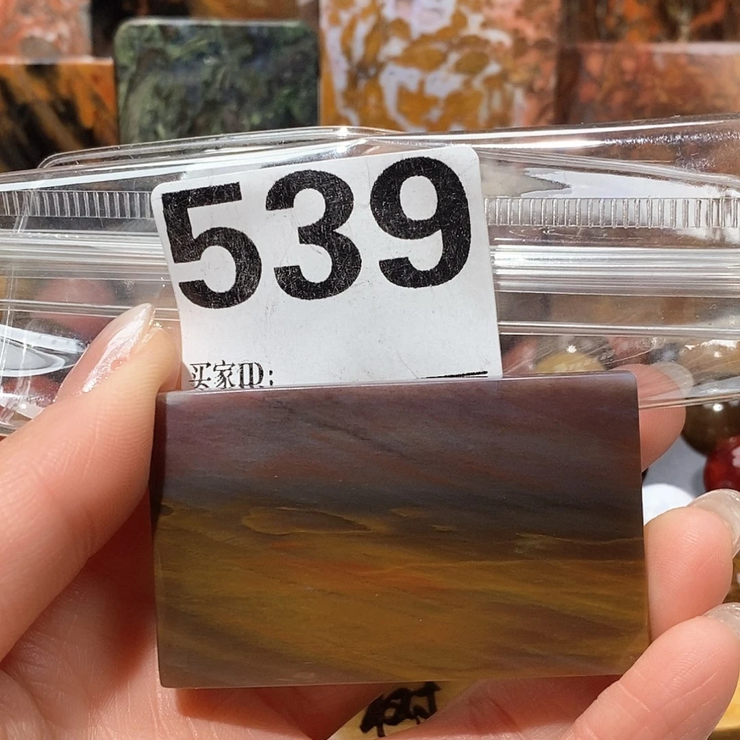 未镶嵌天然北票树化玉吊坠硅化玉