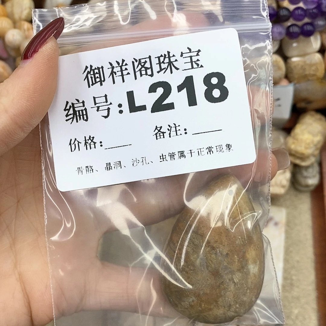 硅化珊瑚（珊瑚玉）L198未镶嵌?****喵