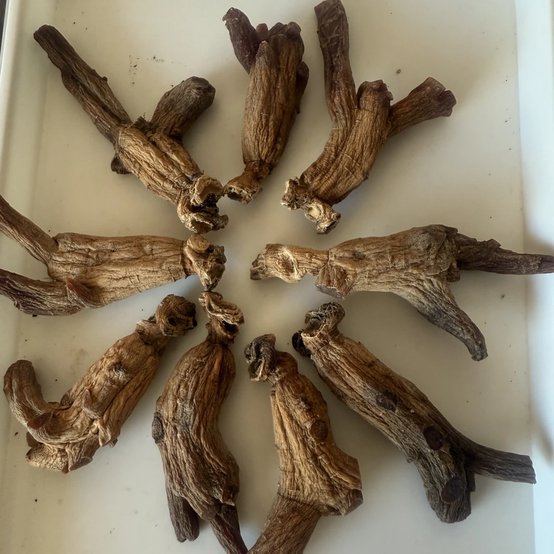 纯正南韩野树林高丽参参香味浓郁高品质陈香正品