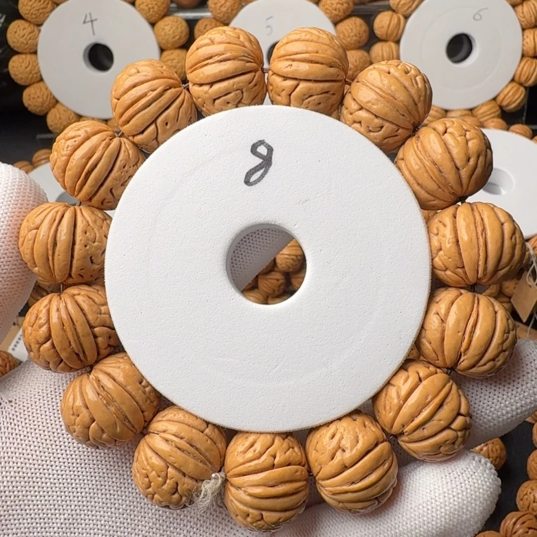 手串桃核金鱼肚同树果