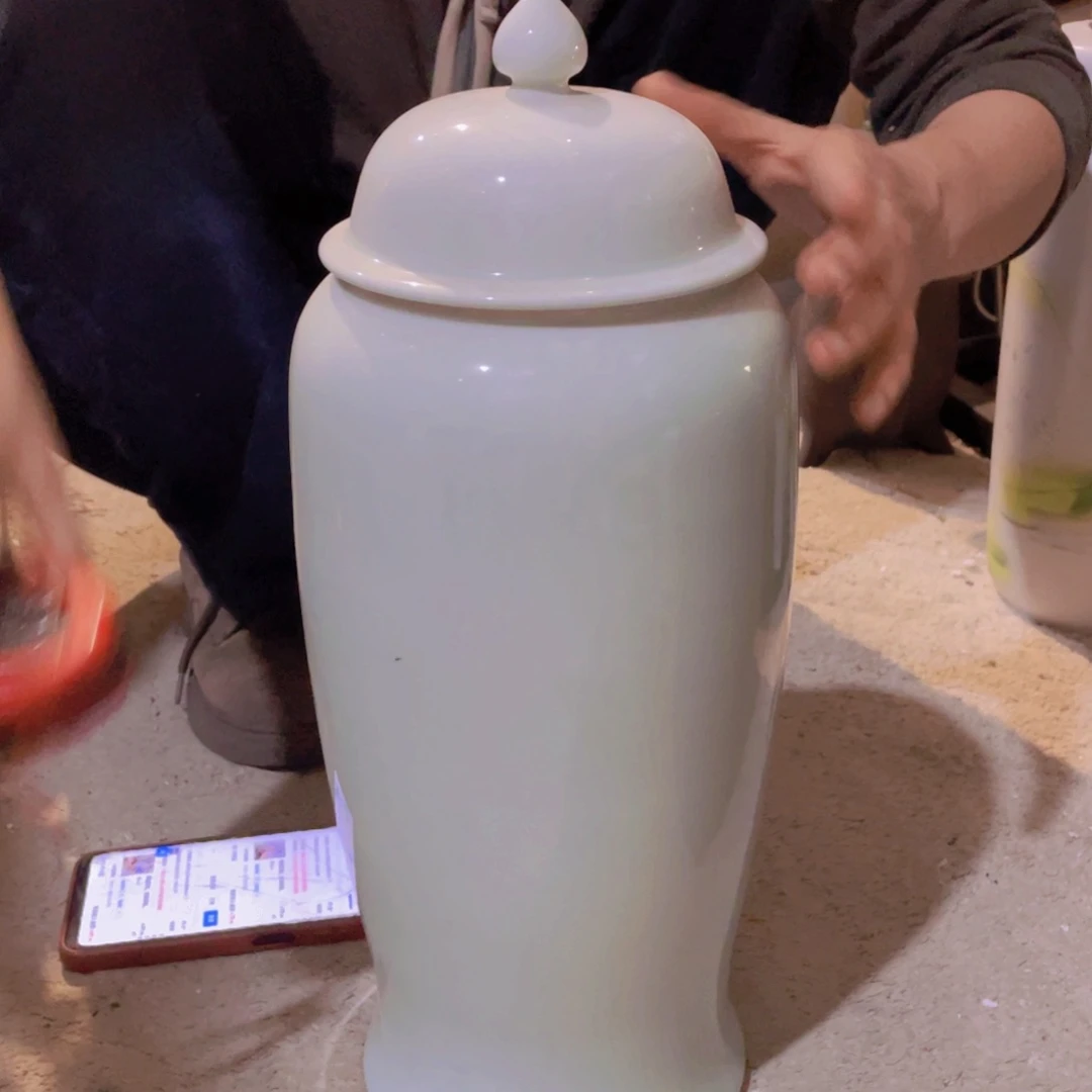 陶瓷花瓶，仿真绿植。