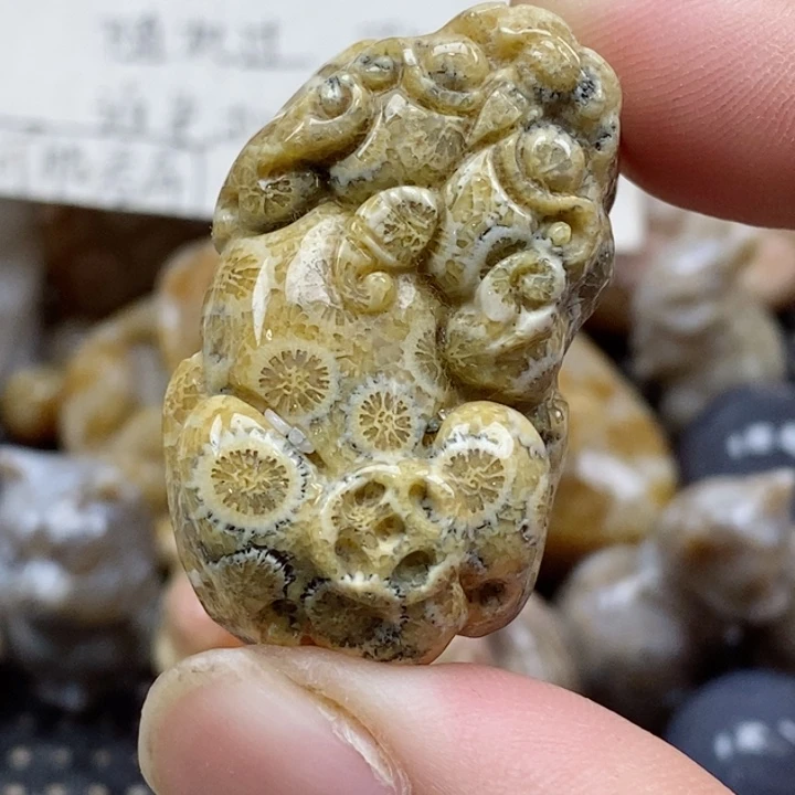 颈饰未镶嵌硅化珊瑚（珊瑚玉）有瑕