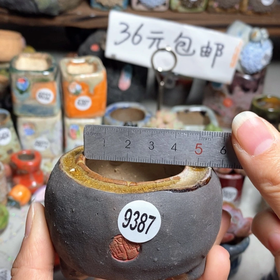 特价花盆不退不换，原价28