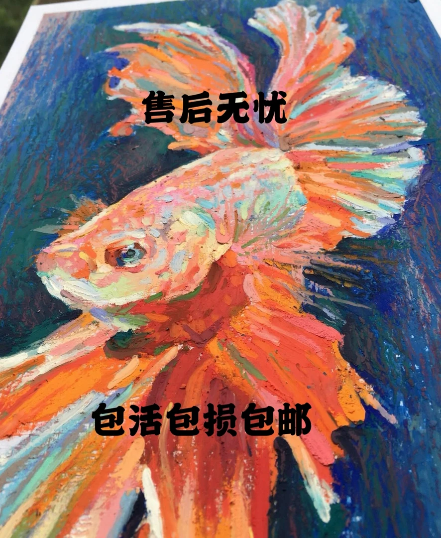 种类自选-精品孔雀鱼2-3cm（鱼品种比较贵报损需要完整的开箱视频）