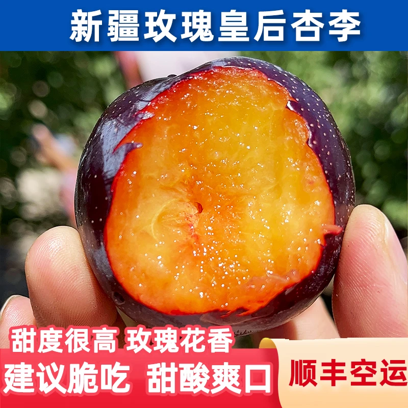 鑫选 新疆戈壁新品杏李玫瑰皇后3斤 新鲜水果应季李子 顺丰空运