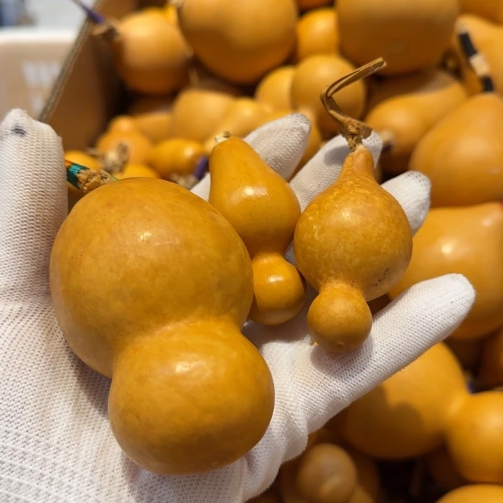 '**•哈哈哈哈哈哈哈哈哈