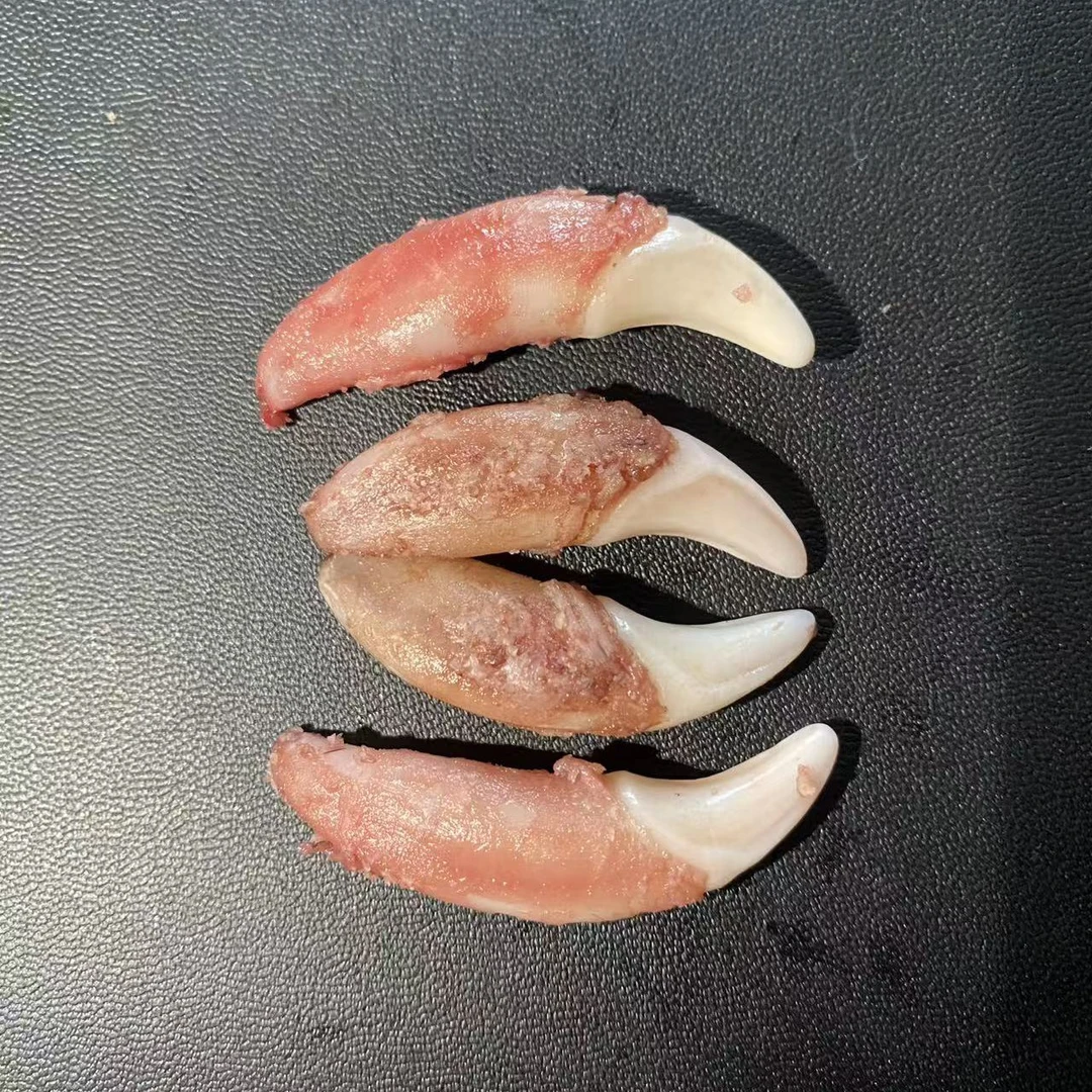 非金属布艺项链 【4.7以下】手工原生黑狗牙饰品