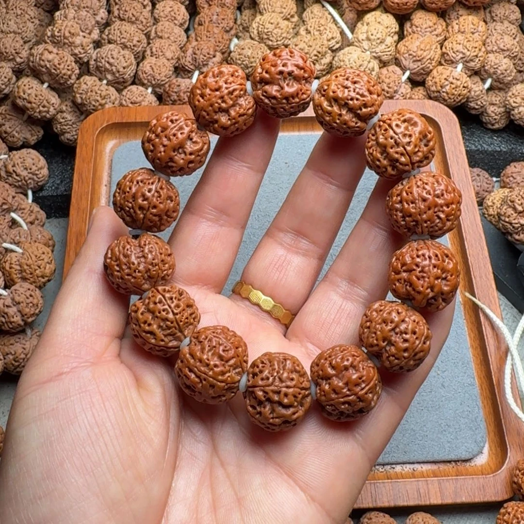 菩提菩提22号尼泊尔大金刚20爆肉梁