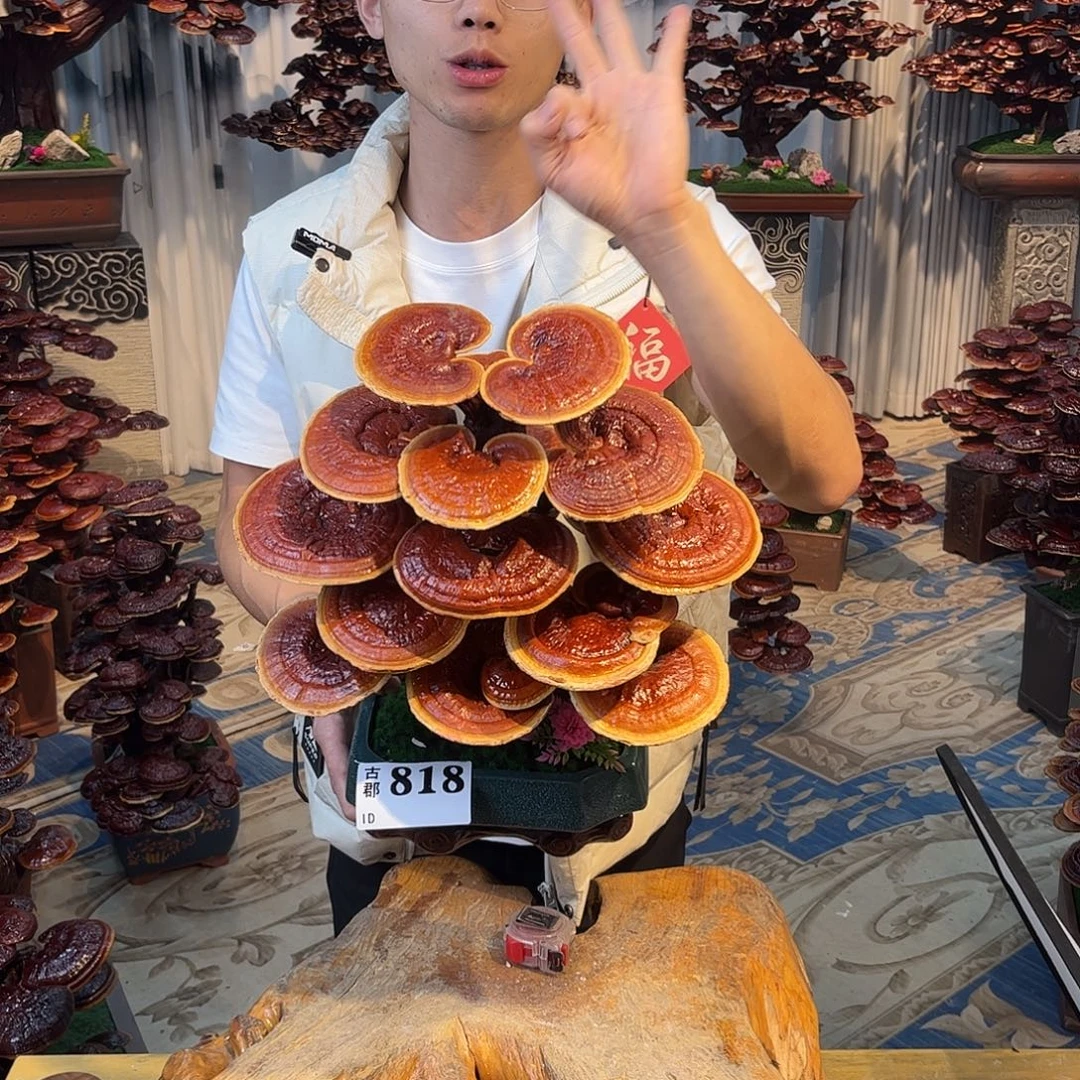 无花朵58888888888