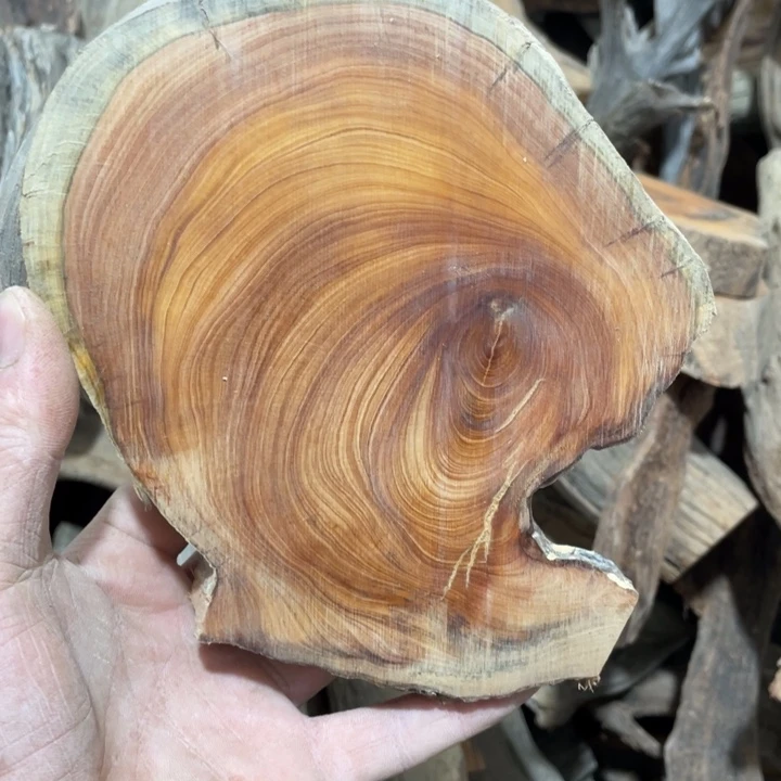 谢*明毛料毛料毛料毛料