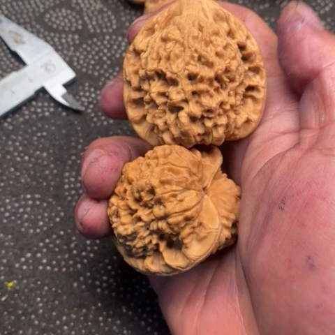 文玩核桃把件官帽3.3