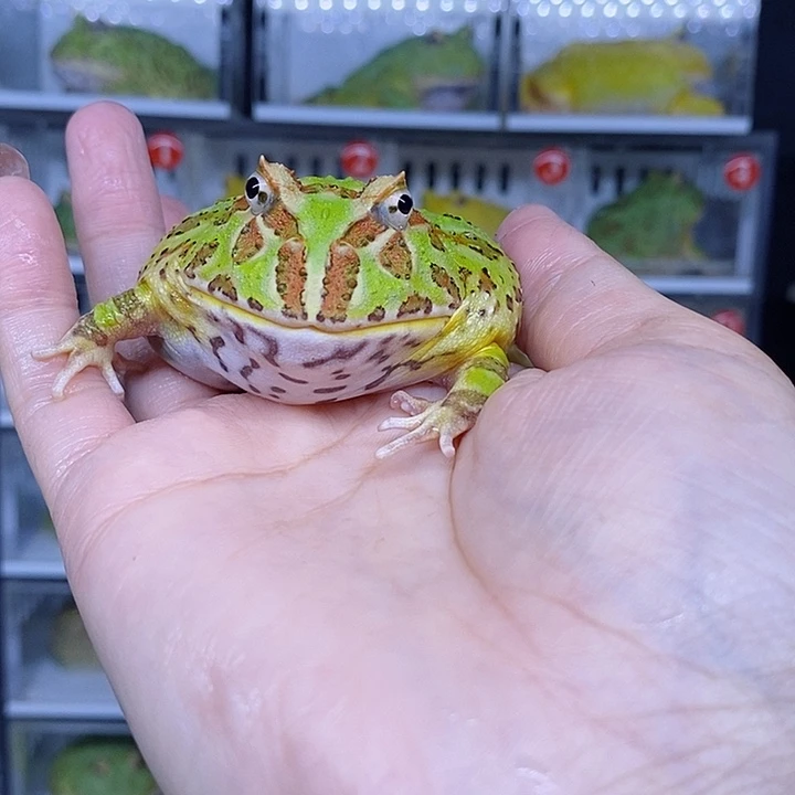 特价秒杀现货特价