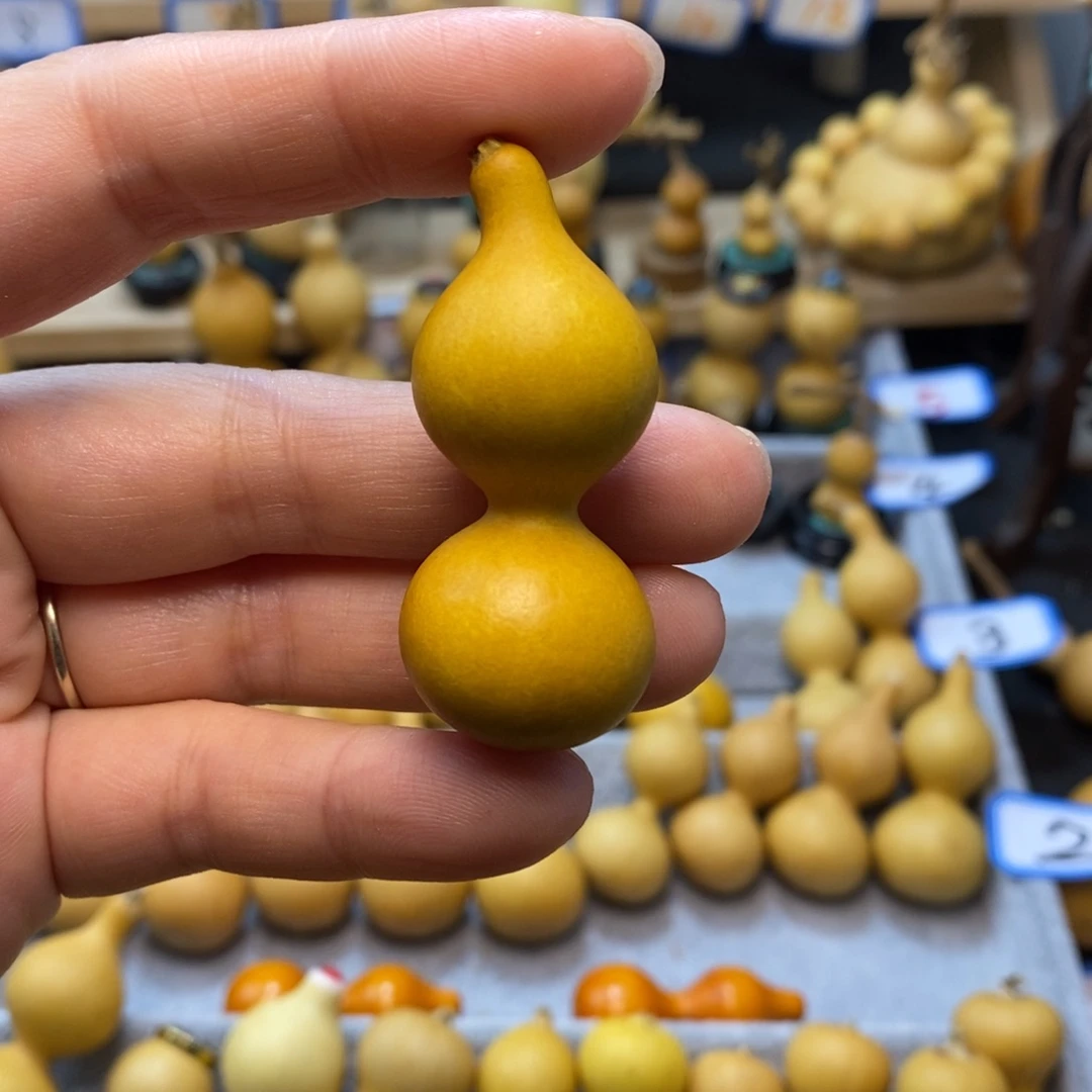 Q**雪直播间手把手小葫芦