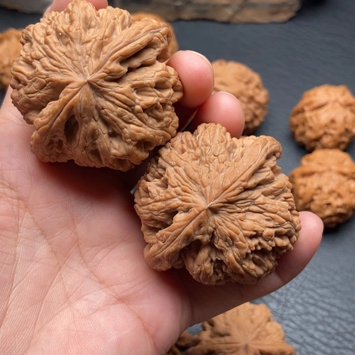 把件文玩核桃爱***子粗筋51
