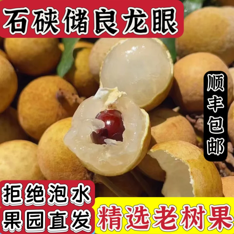 现货广东储良石硖龙眼新鲜水果鲜岭南桂圆当季水果顺丰冷链包邮