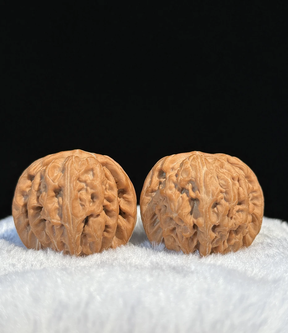 【简核】红锦鲤精品
