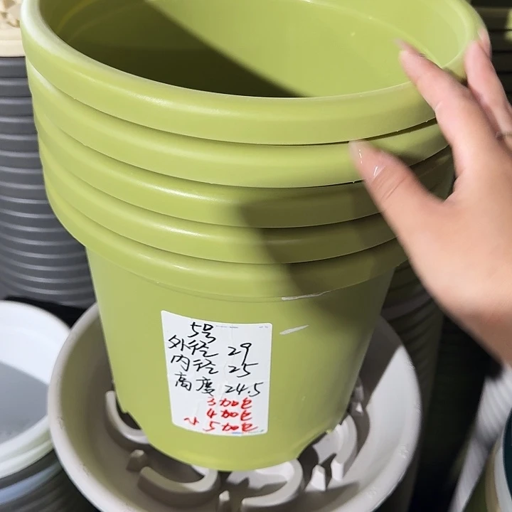 微瑕5#果绿6个无托