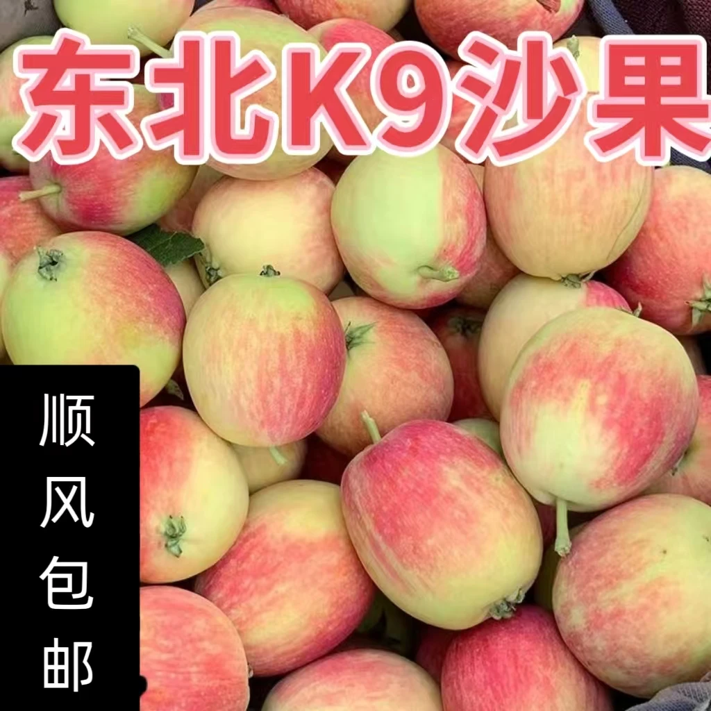 正宗东北K9沙果海棠果当季脆甜孕妇应季水果顺丰包邮