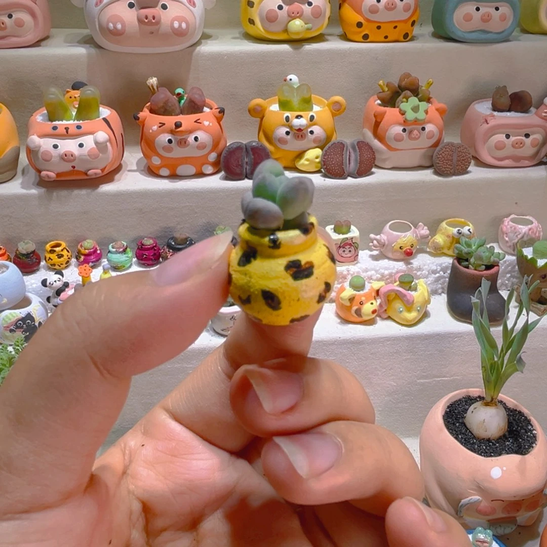 011草莓汤圆带盆带土手工盆