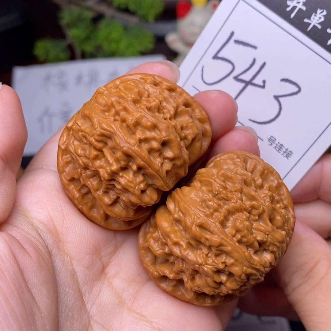 文玩核桃把件543闷尖白狮子头4.5