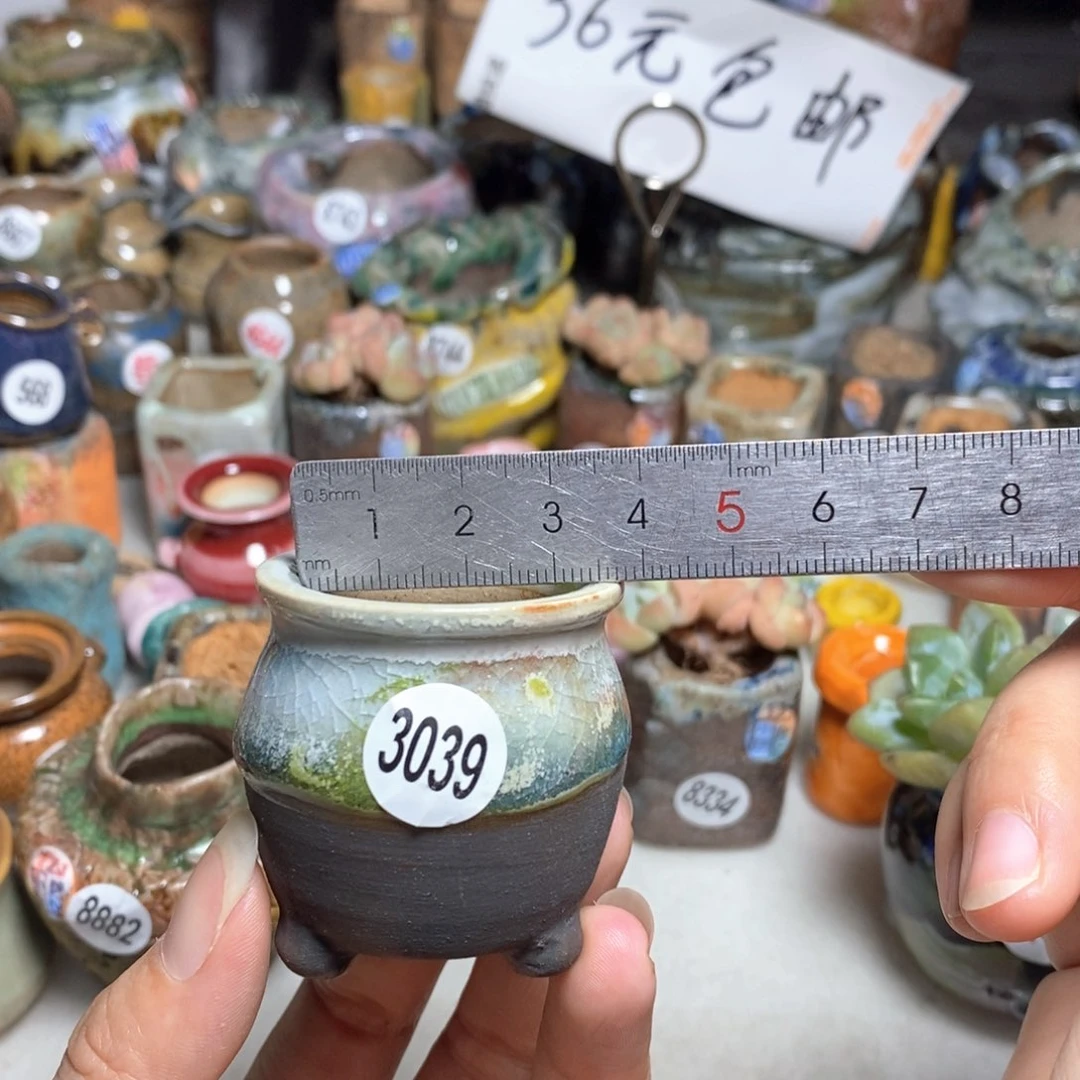 拍5送一个小礼物