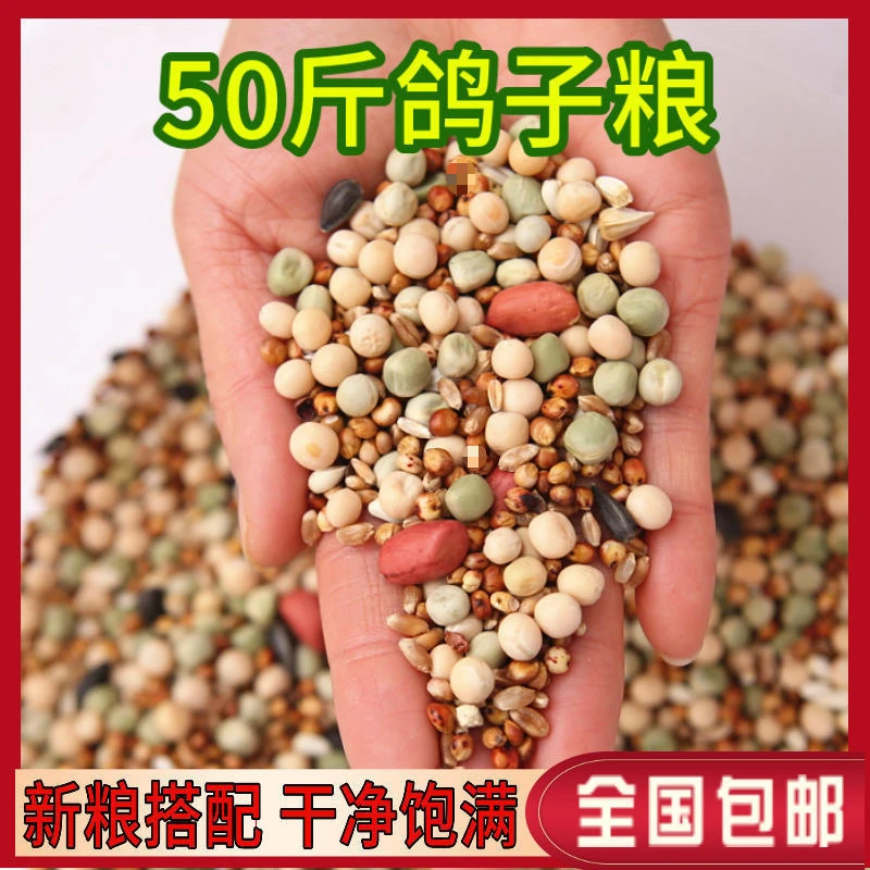 鸽子粮营养饲料幼鸽信鸽赛鸽肉鸽成鸽粮