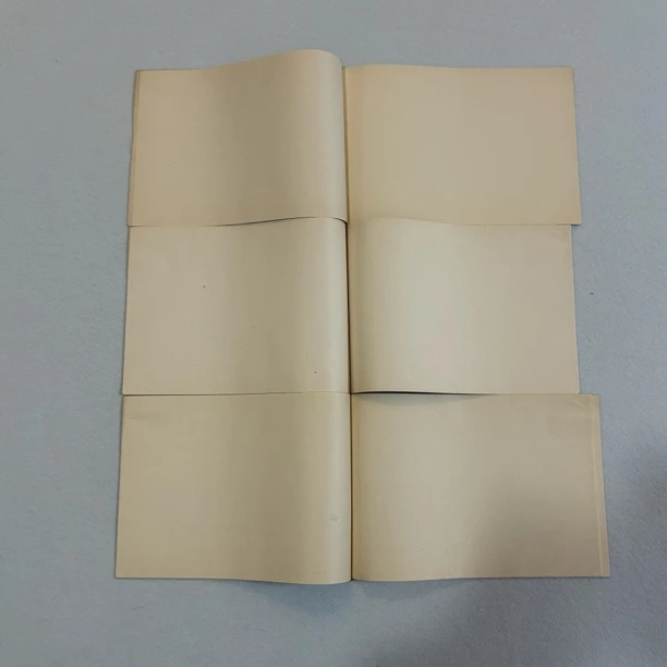【象朴斋老纸】上世纪老纸一份发货2本共24张 八分熟 24.5✖️17cm