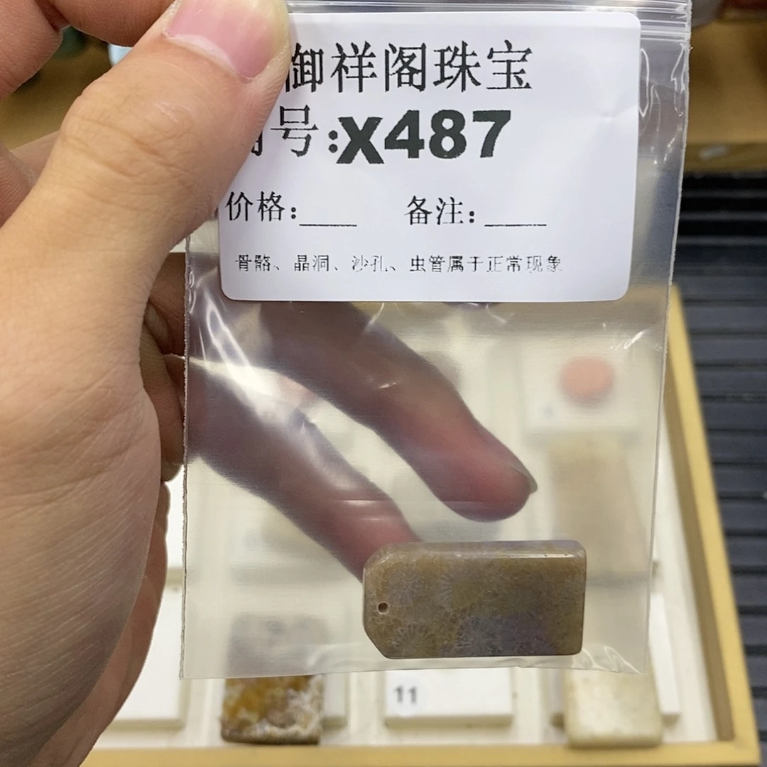 硅化珊瑚（珊瑚玉）未镶嵌颈饰焯*