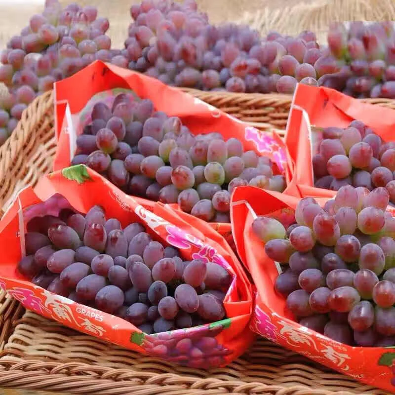 茉莉香葡萄1串0.8斤左右
