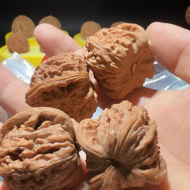 文玩核桃把件白狮子。无售后