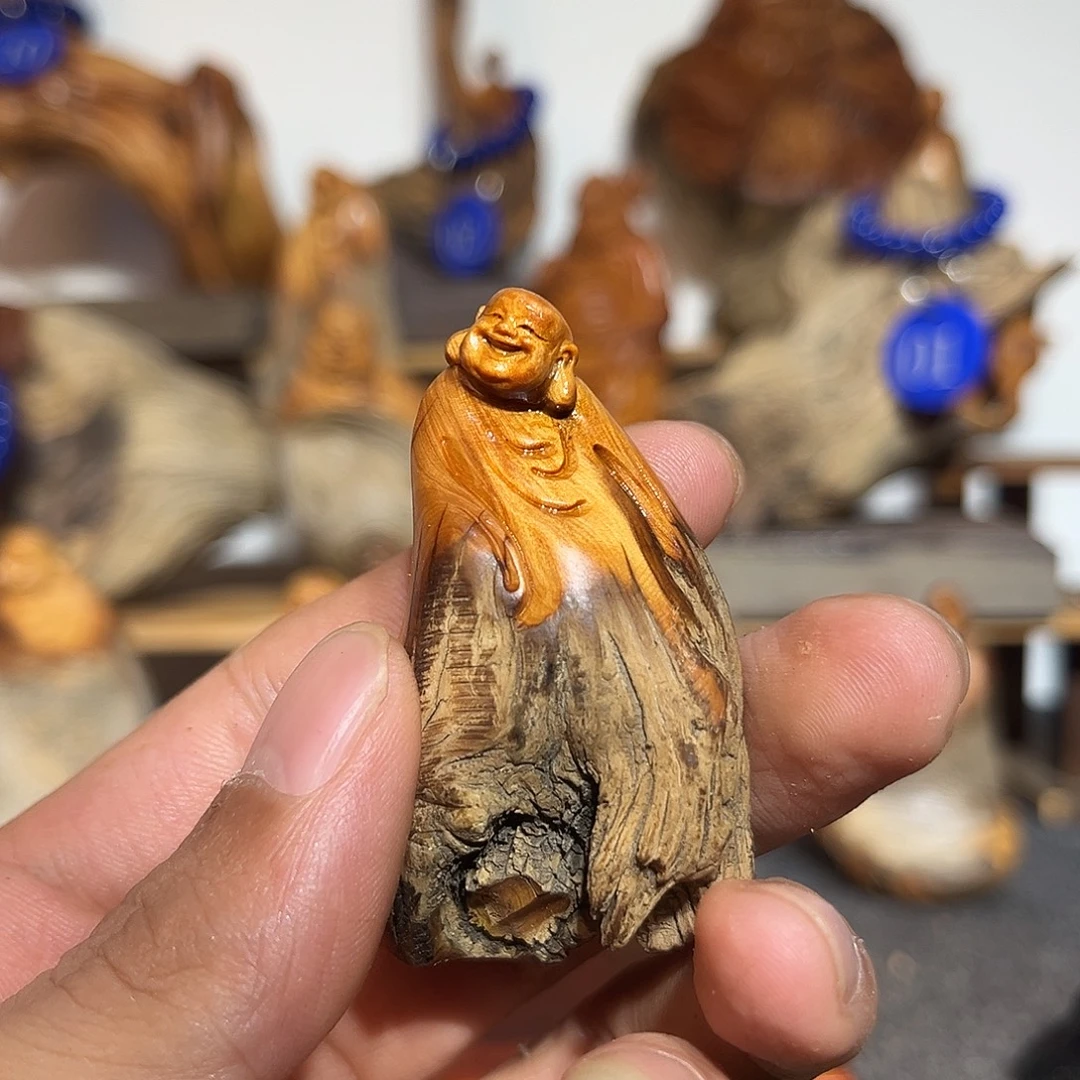 三***生柏木（崖柏）太行崖柏