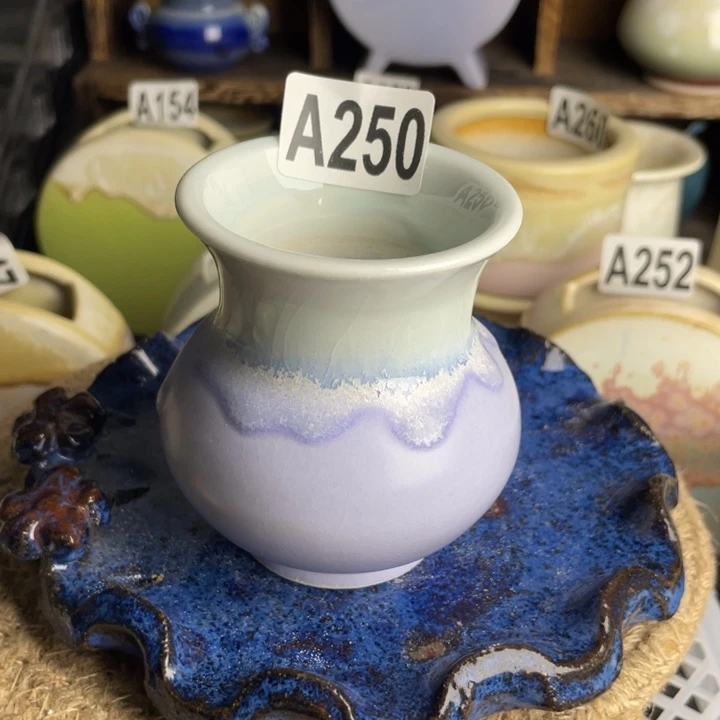 满 28包邮，凑单凑单250口5