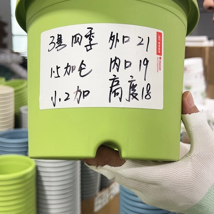 特价3号四季口21高18混色10只无托