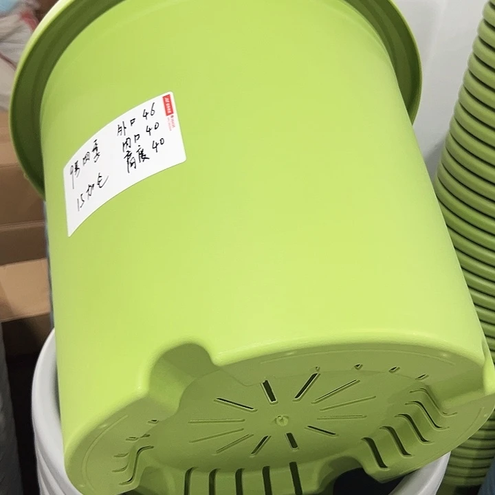 特价9号四季口46高40果绿无托2只