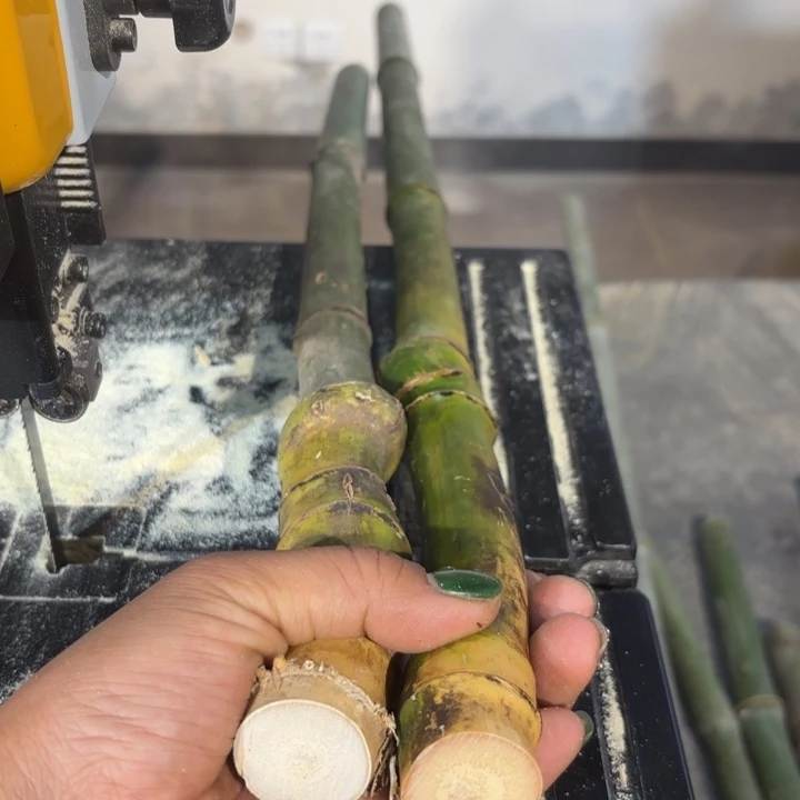 竹五***鼠实心竹竹竹竹竹竹竹竹