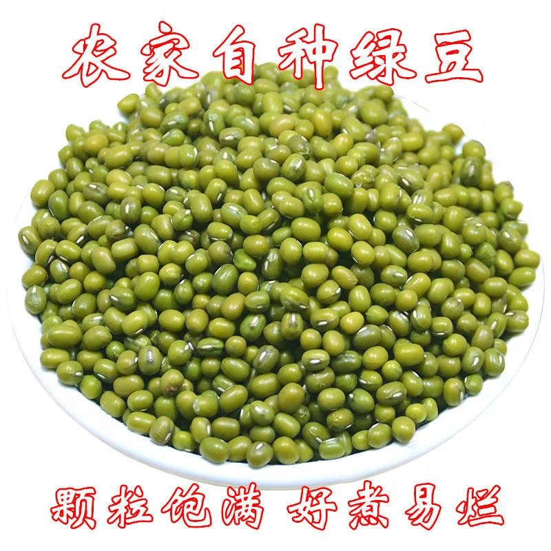 新货绿豆农家新鲜适合熬粥煲汤解暑营养丰富
