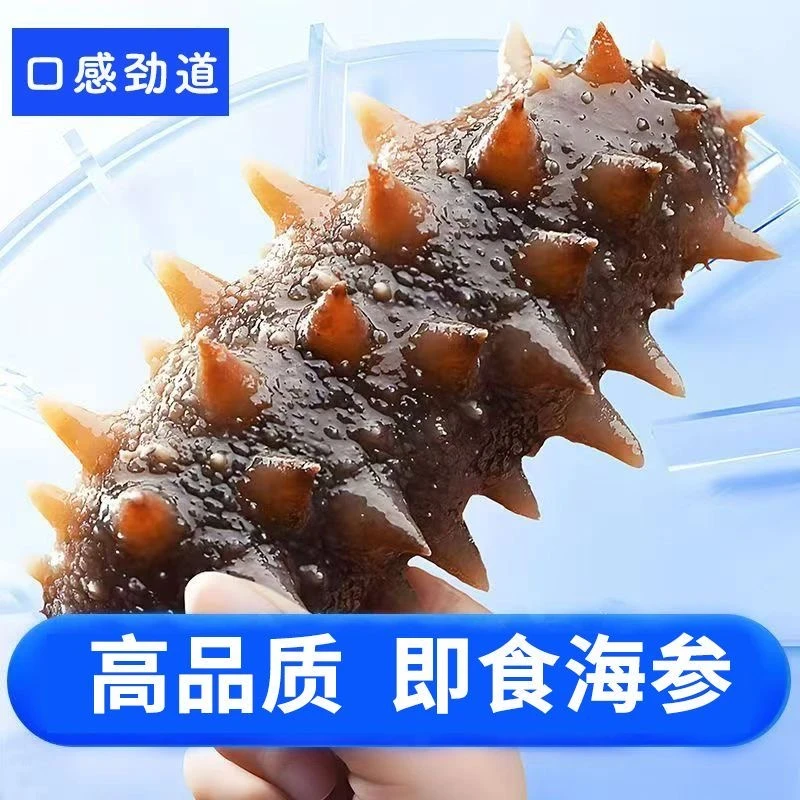 【中秋佳品】鲜蒸即食海参 口感鲜美 肉质肥厚 独立包装 顺丰包邮