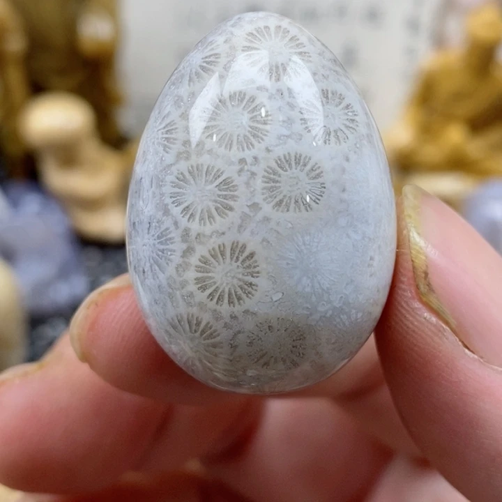颈饰未镶嵌硅化珊瑚（珊瑚玉）