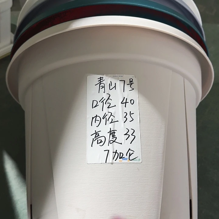 老青山7号灰白无托5个