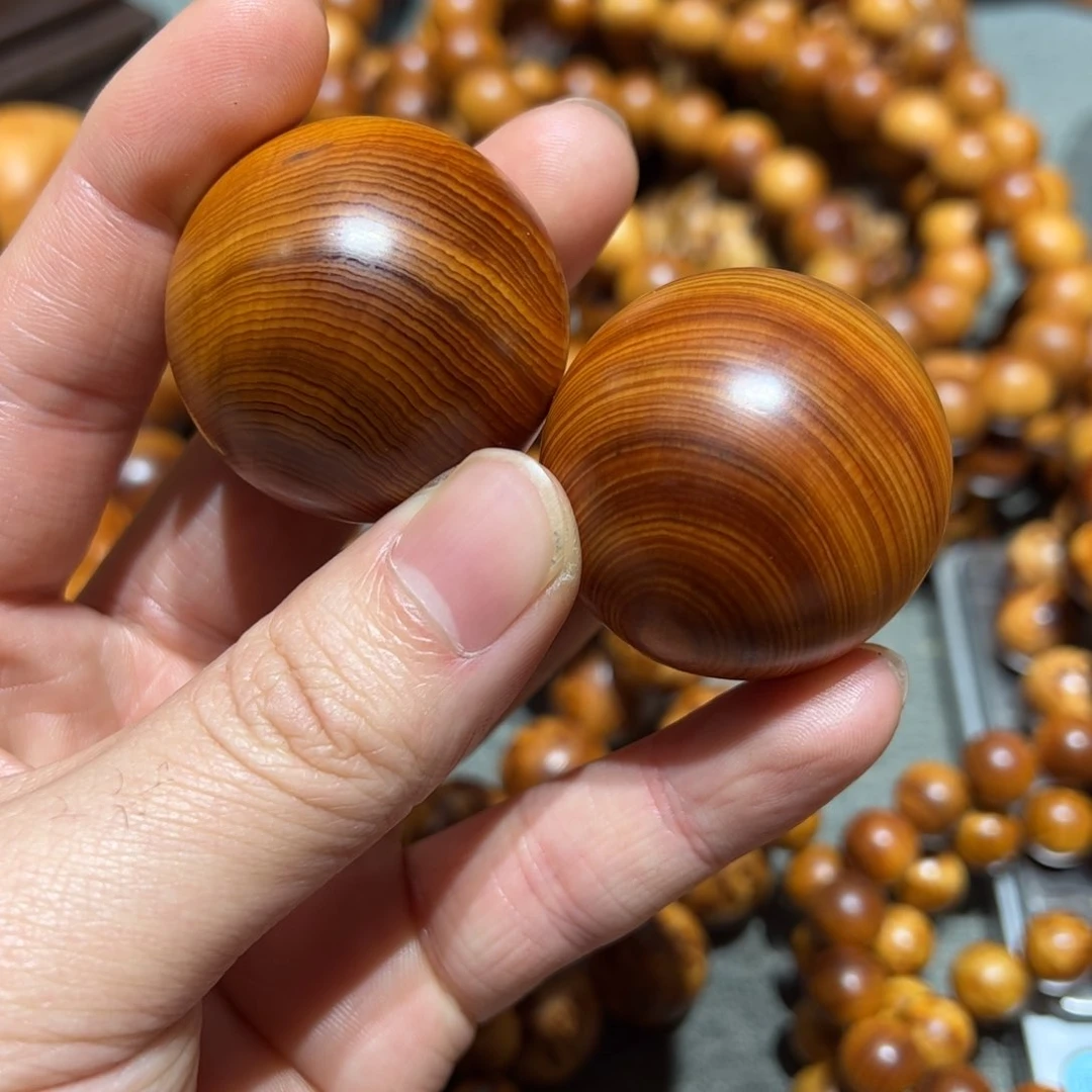 太行崖柏陈化太行