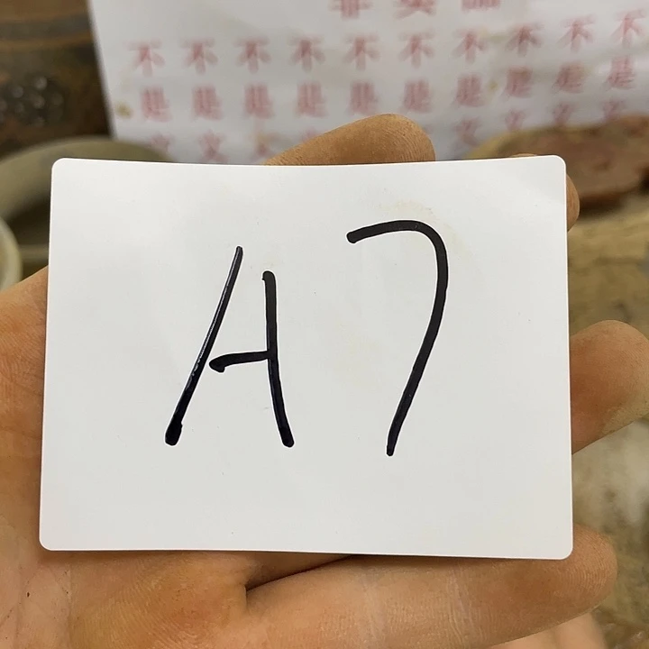 无非金属原***6一一一一一一一