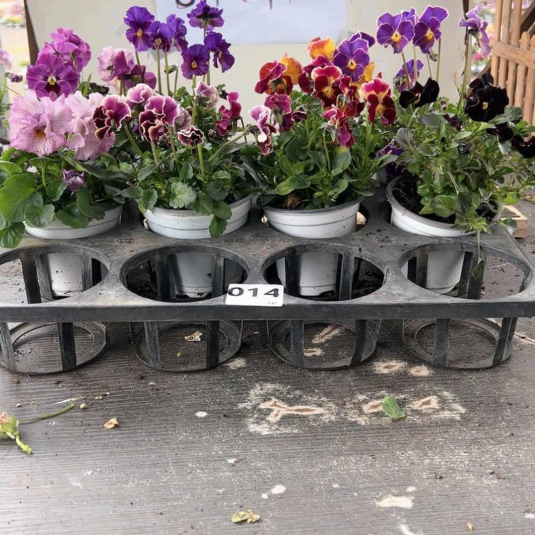 【闪购商品】014号