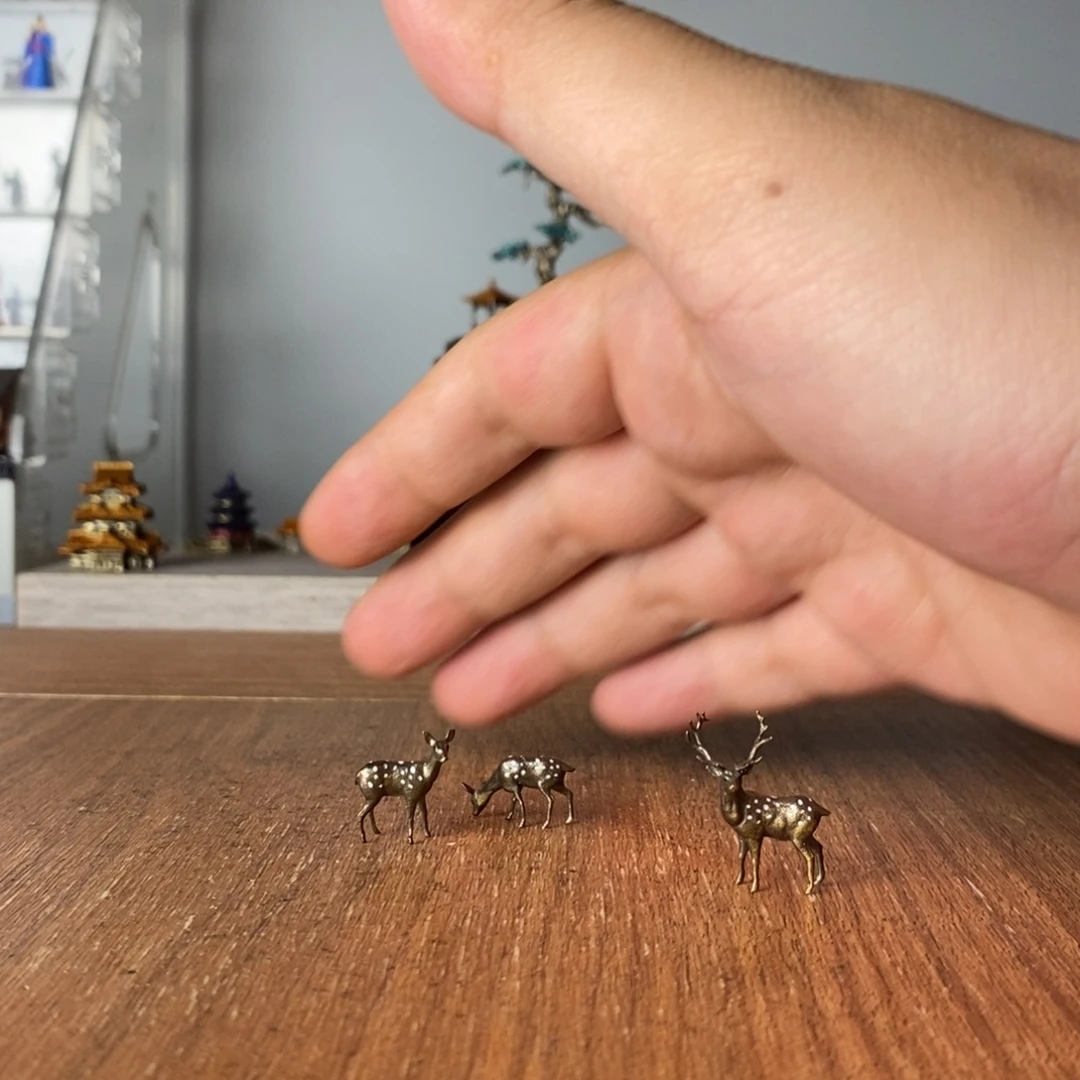 摆件。你是不是也是