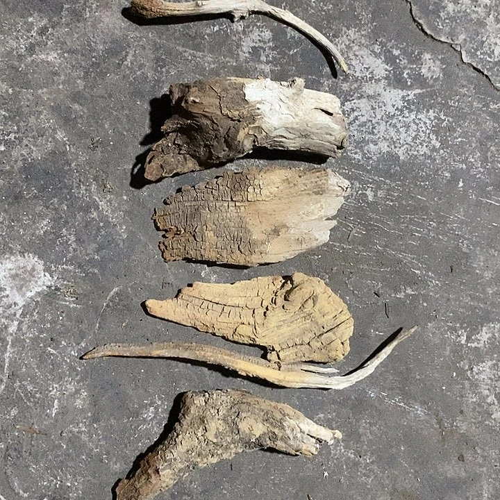 不***失柏木精品小店买了一个