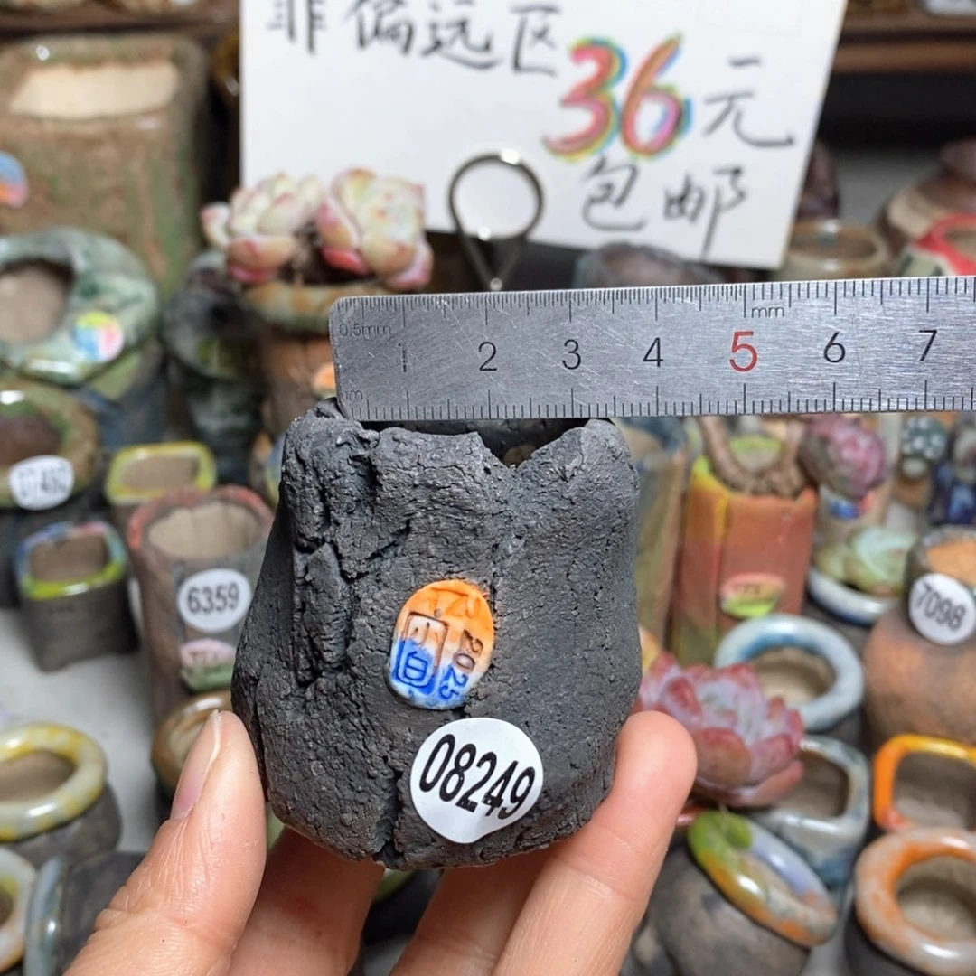 花盆拍3送一个小礼物