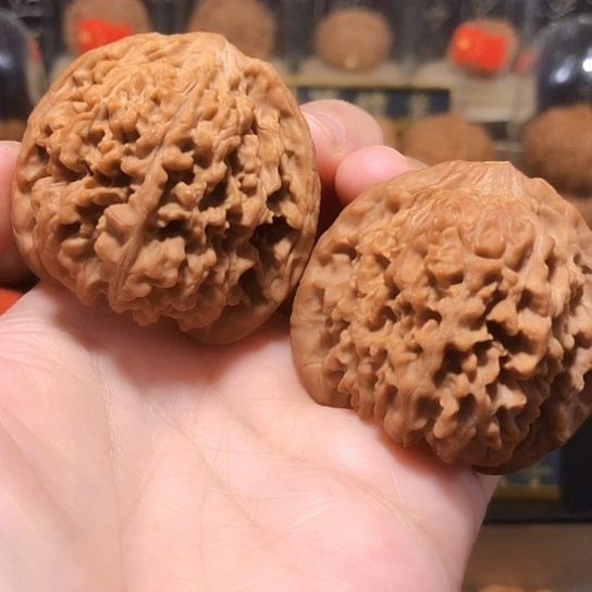 精品：肉纹满天星