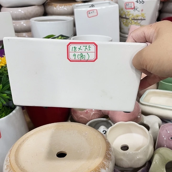 花盆花盆花盆花盆花盆花盆花盆