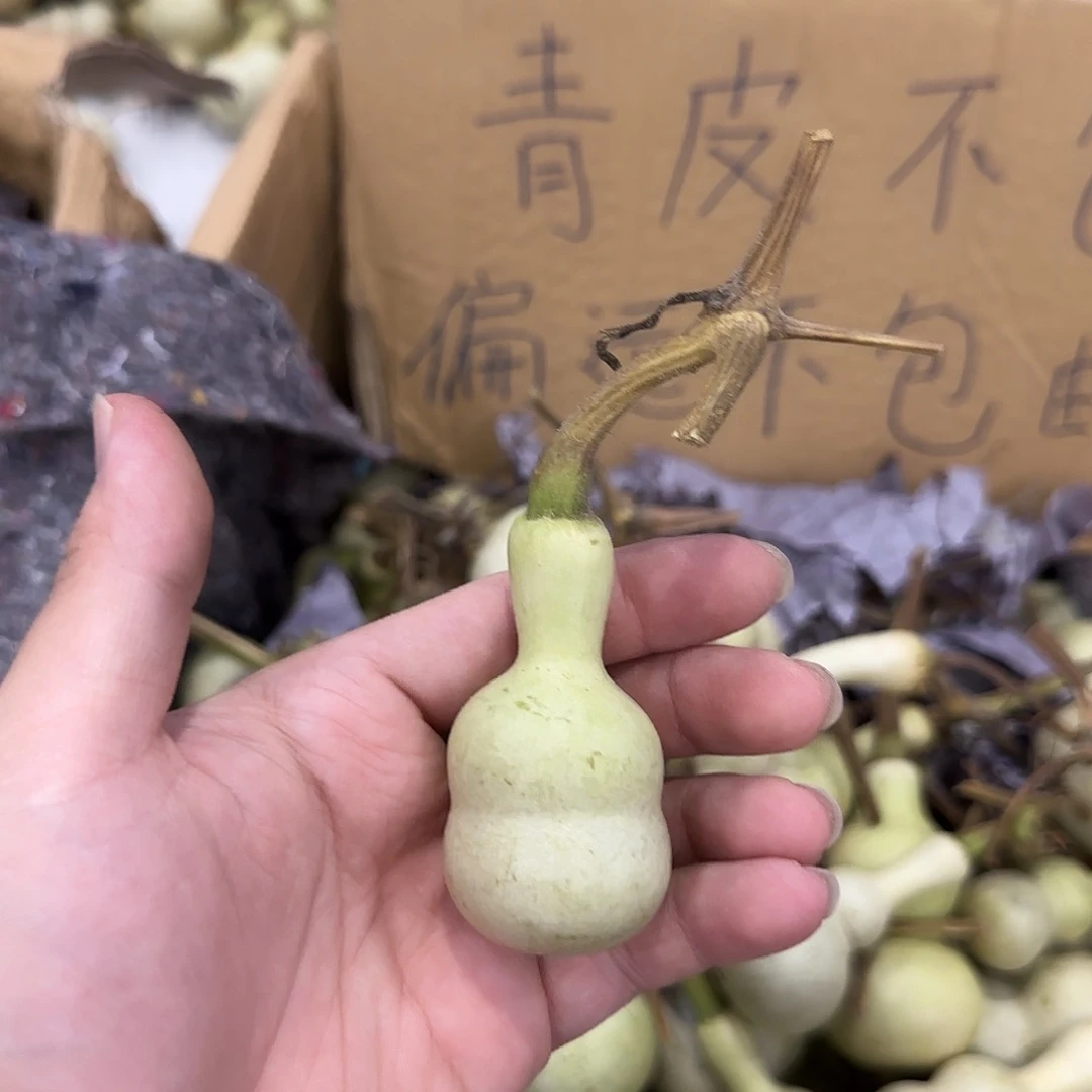 静***心葫芦ejdndnsnsnsns