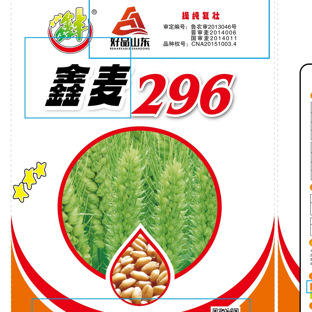 【原种】鑫麦296 大穗高产
