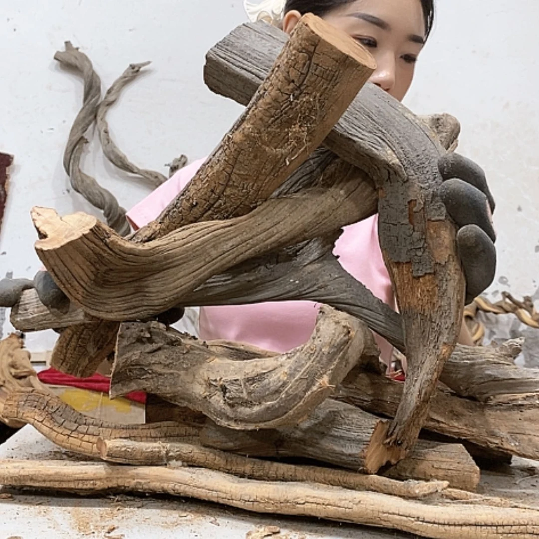 【闪购商品】柏木名**海我们都是好孩子